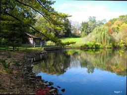 زندگی مثل یه سفر میمونه