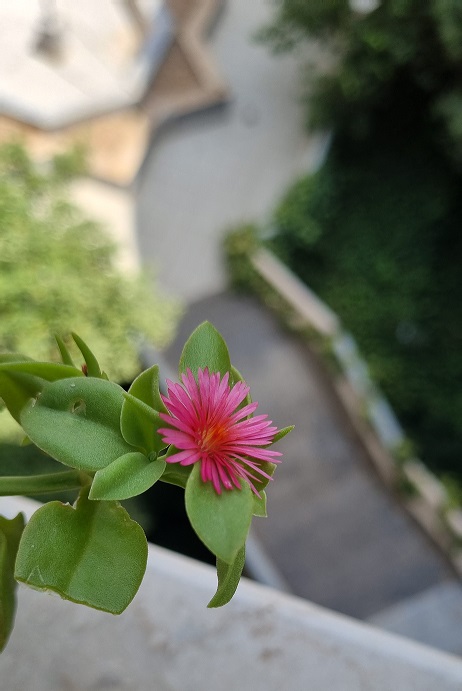 ماری در خوابگاه!