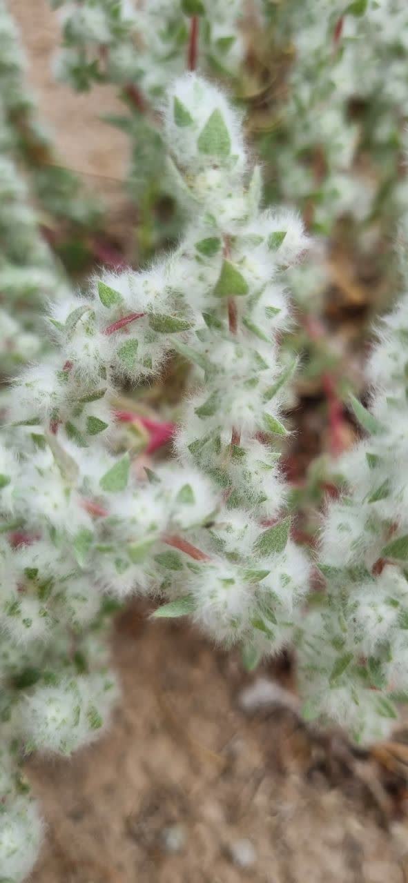 قشنگ بود! ولی نمی دونم اسمش چیه!