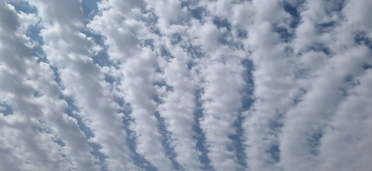 عکاسی بر روی پشت بام خوابگاه