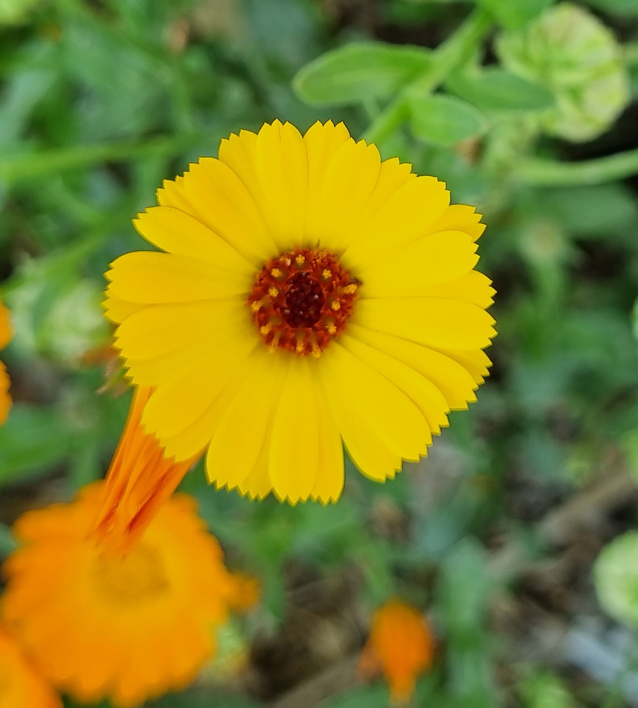 📸جهان از پشت لنز من