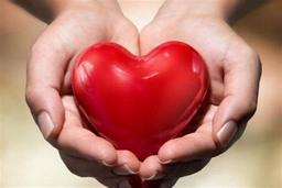 سَرَکی به درون ...