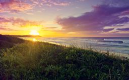 صبح شده بود، و من در دلِ آفتاب، از تنهاییِ خودم بیدار شدم...