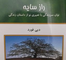 راز سایه اثر دبی فورد