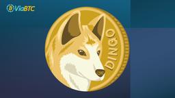 دینگوکوین (DINGO) چیست و چگونه می‌توان آن را استخراج کرد؟