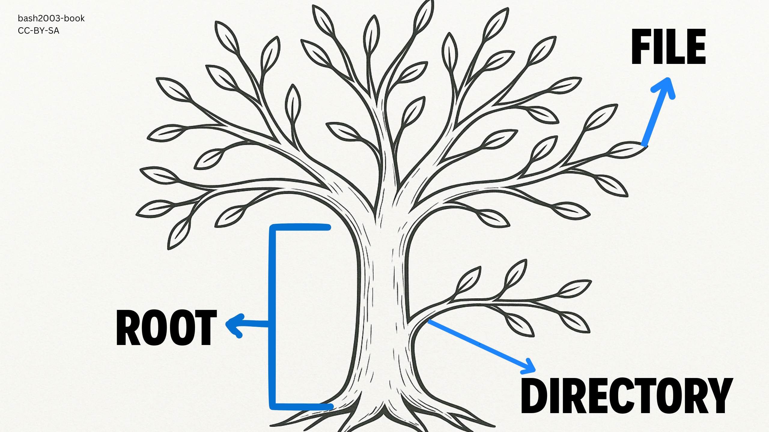 یونیکس و شبه-یونیکس قدم اول | بخش 3-1 کتاب bash2003
