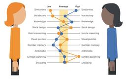 استانداردسازی و موفقیت