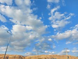 مولانا، لانگ‌ دیستنس و عشق