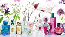 بررسی 7 مورد از بهترین فروشگاه های اینترنتی عطر و ادکلن فرانسوی در ایران