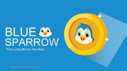 بیت کوین یا بلواسپارو ؟