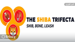 آغاز پشتیبانی Shiba Inu  توسط کارت کریپتو Mover