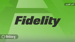 مدیر دارایی فیدلیتی: بیت‌کوین یک کالای پولی است