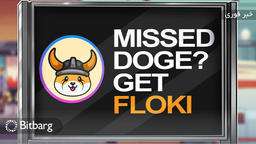 دیده‌بان بریتانیا تبلیغات رمزارز Floki Inu را ممنوع می‌کند