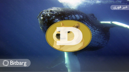 دوج‌کوین رشد ۱۱۰ درصدی تراکنش را در بین نهنگ‌ها داشت