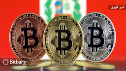 انتقاد رئیس بانک مرکزی پرو از ارزهای دیجیتال