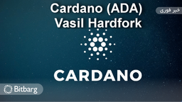 هفته سرنوشت‌ساز برای هارد فورک واسیل