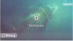 شبکه کاردانو در ۳۰ روز گذشته ۵۰ میلیون دلار برای پروژه‌های دیفای جذب کرد
