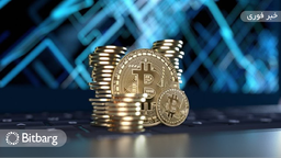 سازمان تبلیغات ایرلندی شکایات بسیاری در مورد تبلیغات ارزهای دیجیتال دریافت کرد