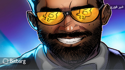 تعداد میلیاردرهای ارز دیجیتال ۶۰ درصد افزایش یافت