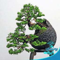 ایجاد فرم آبشاری (کنگای)