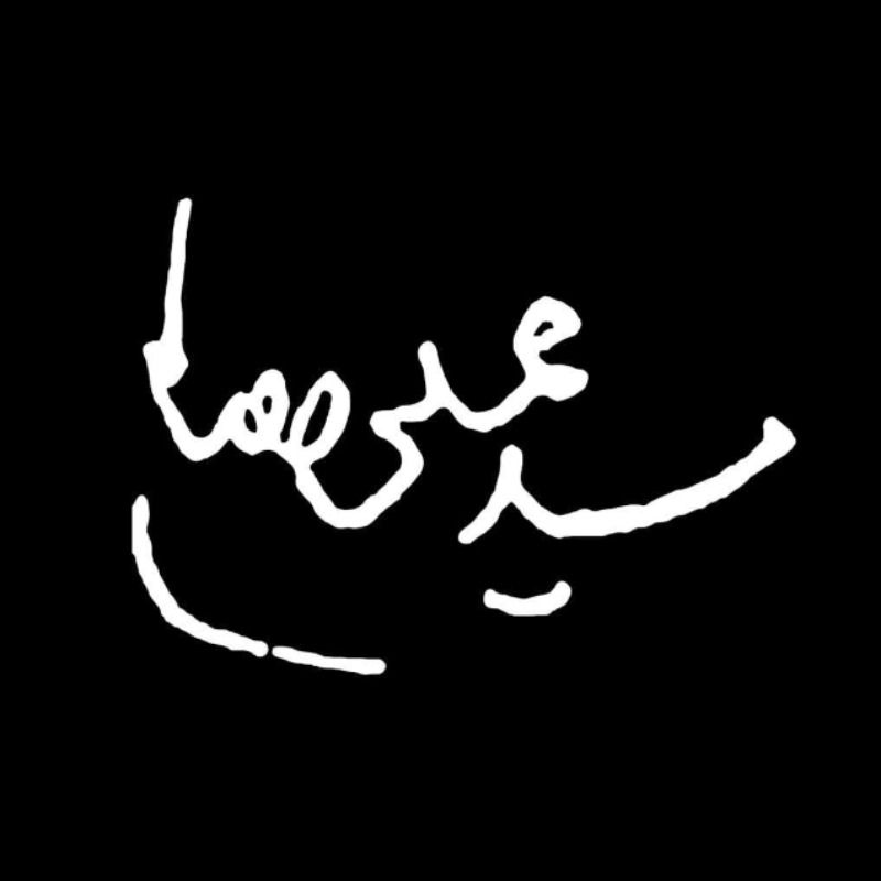 Hadiseh.M