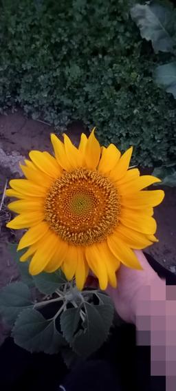 عـ‌کــ‌س📷