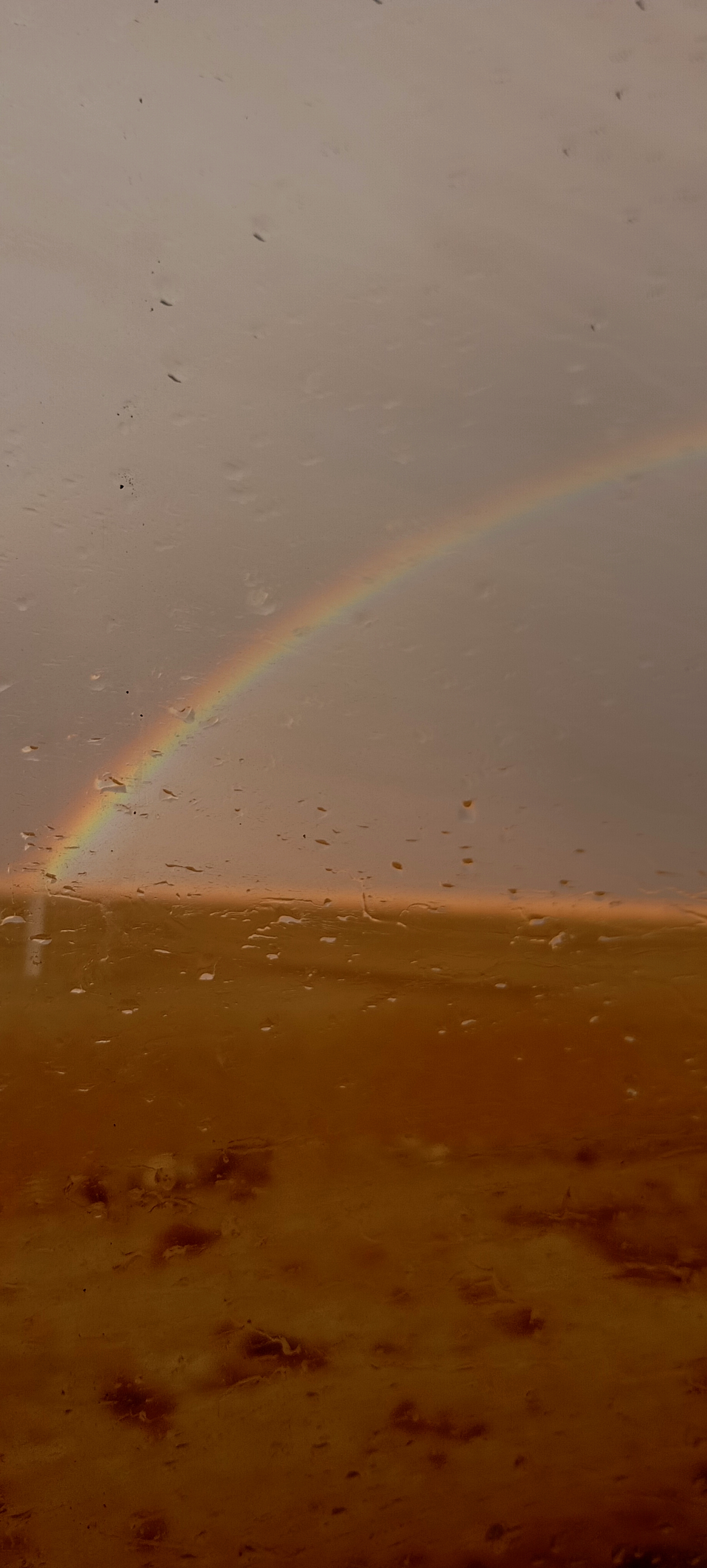 فکر کنم آسمون هم مثل دل من اشک شوق می‌ریزه و الان هوای دلم دقیقا همینه این رنگین کمون همون حس خوب منه!