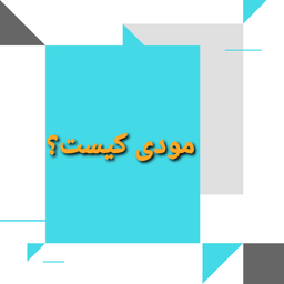 مودی مالیاتی کیست؟