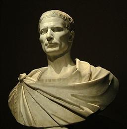 ونی، ویدی، ویچی