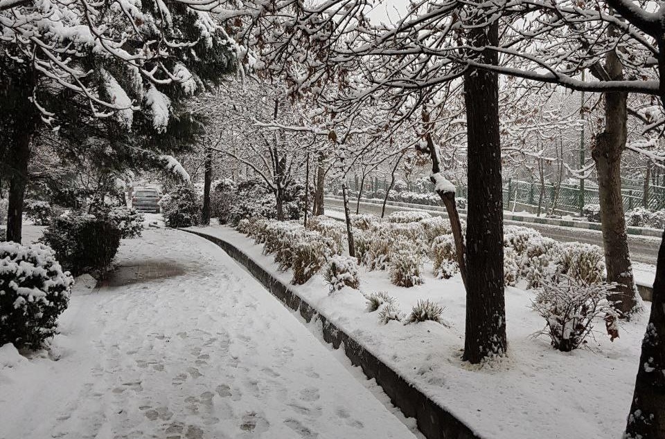 و بدم آمد از دست‌های بی‌معجزه‌ام