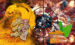 اثرات ضد تومور بدون سمیت- محققان از یک ادویه برای درمان سرطان استفاده می‌کنند