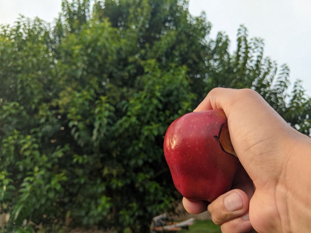 زمانی که بالا رفتن یک KPI می‌تواند اتفاق بدی باشد