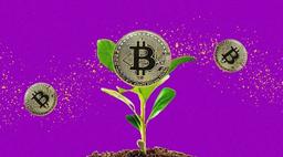 ارزهای رمزنگاری شده دوست‌دار محیط‌زیست