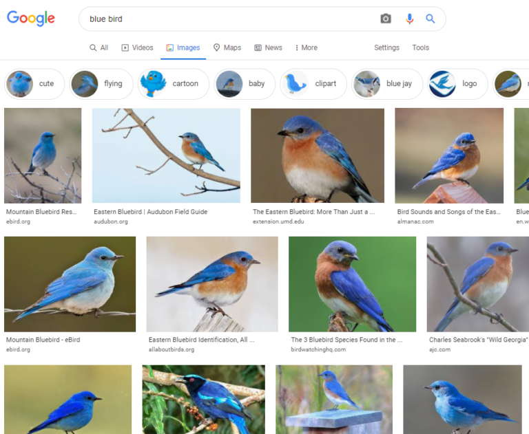 شکل ۴: Tools Google Images
