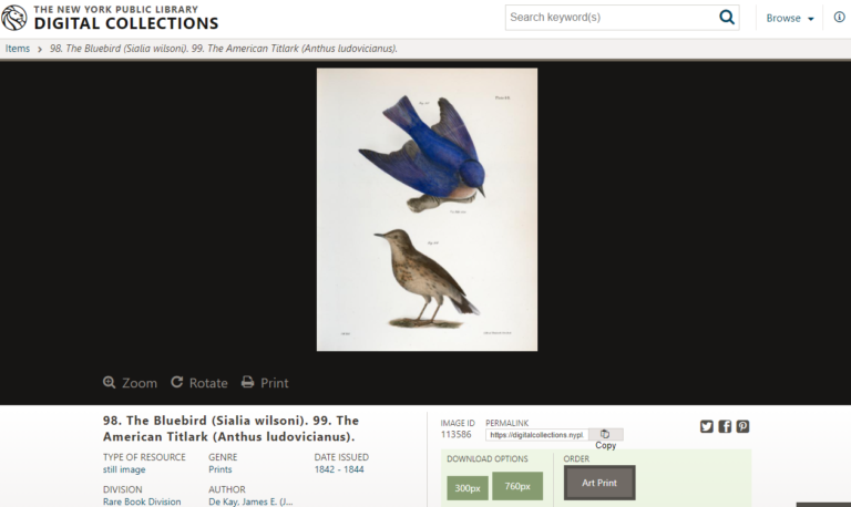 شکل ۲۵.مجموعه دیجیتال کتابخانه عمومی نیویورک