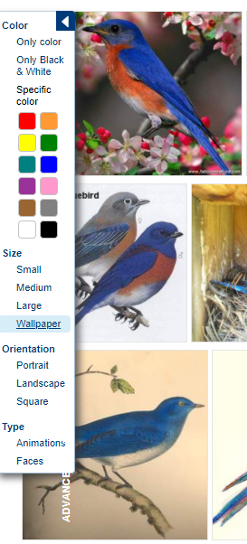 شکل ۱۵. موتورpicsearch
