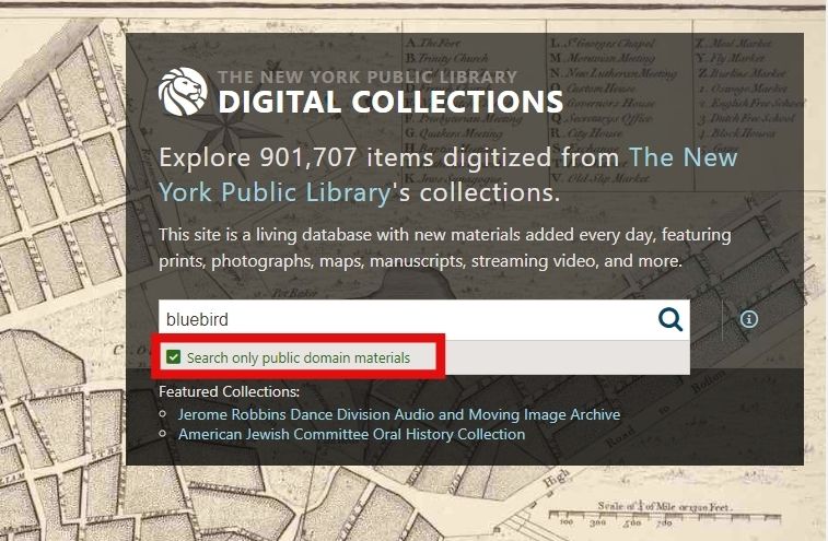 شکل۲۴.مجموعه دیجیتال کتابخانه عمومی نیویورک
