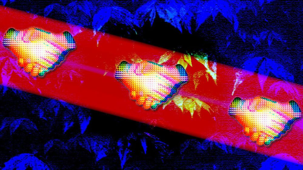 سلاح مخفی مخصوص استارت‌آپ ها که هیچ‌کس در مورد آن صحبتی نمی‌کند : دوستی با رقبا