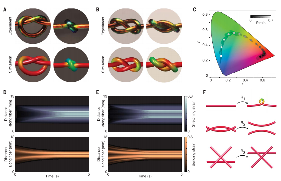 توپولوژی مکانیکی گره‌ها و پیچ‌ها
