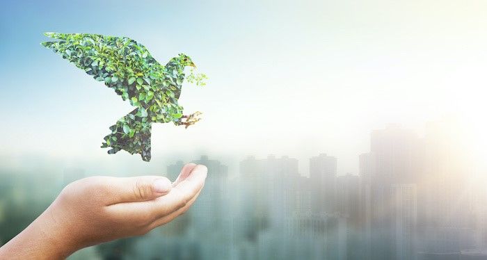 شکل ۱. تغییرات سازگار با محیط زیست