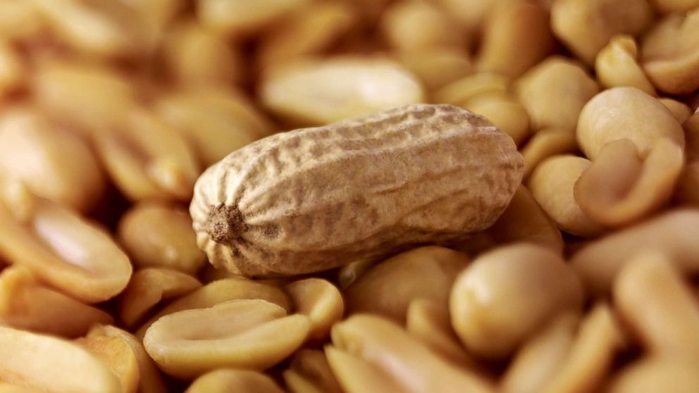 غلبه بر آلرژی بادام‌زمینی کودکان با بادام‌زمینی پخته‌شده