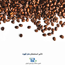 تأثیر استشمام عطر قهوه