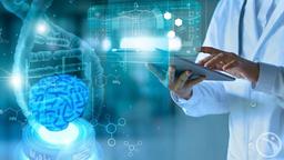 یادگیری موثر در سازمان