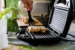 انواع غذای فوری با ساندویچ ساز