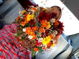 روایتگر هستم