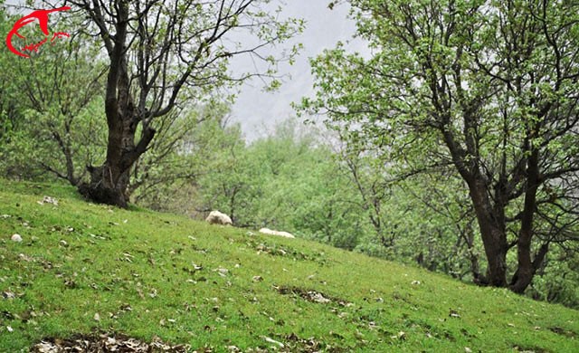 طبیعت بروجن