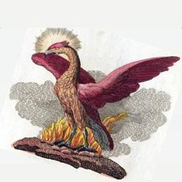 زیست حیوانی