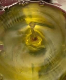 همراه با جهان