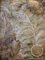 کاغذ دیواری