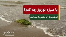 راهکارهایی برای سبزه نوروز